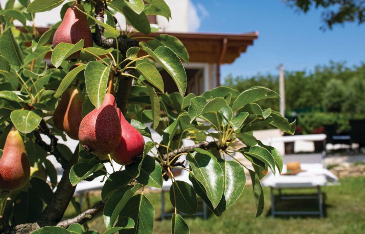 Le Margherite Country House Montefalcone Appennino Екстериор снимка